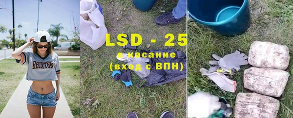 дурь Алзамай