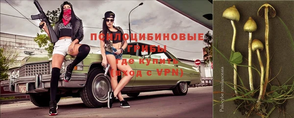 дурь Алзамай