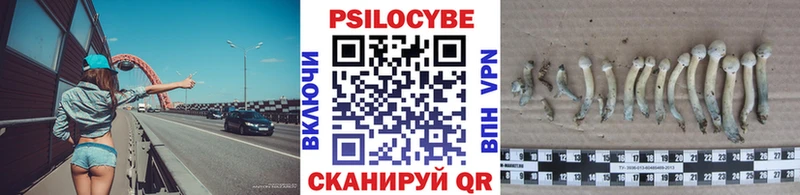 Купить где  Волжск  Псилоцибиновые грибы ЛСД 